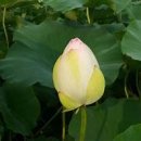 백화원 이미지