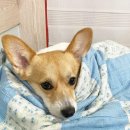 우리 덴탈랩 이미지