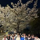 한국체대용무태권도장 이미지