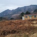 은골농원 이미지