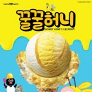 31 네이버블로그