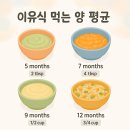 아기 이유식 먹는 양 평균 – 월령별 단계별 권장량 총정리