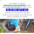 이상목이비인후과의원 이미지