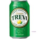 트레비 쇼핑하우