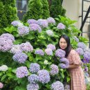 동남로41번길 이미지