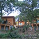 좌구산자연휴양림 이미지