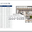 펠리시티 당구장 티스토리