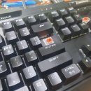 수원-0057 이미지