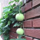 구월4동-13 이미지