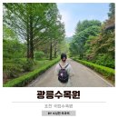 국립수목원 산림박물관 | 포천 광릉국립수목원 산림박물관 온실 가족나들이 예약방법 주차
