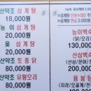 심마니산약초백숙 이미지