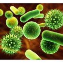 봄나라약국 이미지