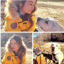 강형숙공인중개사사무소 이미지