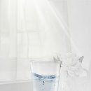 사랑으로동물병원 이미지