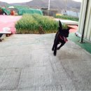 문수양궁장(주말) 이미지