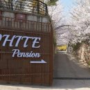 화이트펜션 이미지