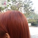 오렌지헤어 이미지