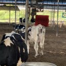 무진목장 이미지