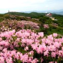 소백산공방 이미지
