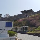 성인역사 이미지