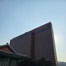 더 디테일(THE EDTAIL) | 서울신라호텔 더 파크뷰 디너 후기 “음식으로 시작해서, 서비스로 완성되는 곳”