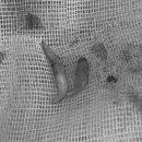 엑슬루 동물병원 이미지