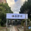 가꾸기미용실 | [광주] 전라도 광주 미용실, 화정동 미용실 추천 : 예슬쌀롱 두피클리닉 (혜림디자이너) 후기