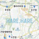 하레하레 이미지