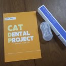 라라캣 | 캣디피 고양이 치석 제거기 후기 | 셀프치석제거 고양이 치석 관리