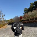 세종동_전월산 무궁화 테마공원 이미지