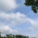 풍년치킨 이미지