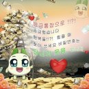 성수오징어 이미지