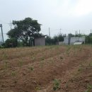 영창농장 이미지