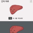 비바코한옥스테이