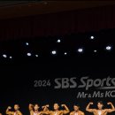 짐 코리아 이미지