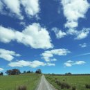 (주)코리아벨리 | [멜버른] 야라 밸리 와이너리 투어 - Yeringberg(예링버그) 방문 및 테이스팅 후기