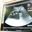 엄마한의원 이미지