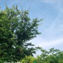 강동로-17 이미지