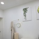 찐브로우