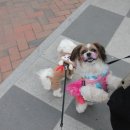 이동문선산곱창