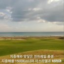 그린카사 이미지