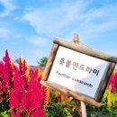 또또뮬리