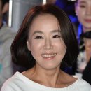 강수연 카카오 검색결과