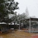 수목원 생활온천 이미지