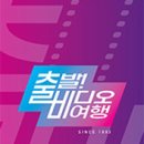 비디오여행 이미지