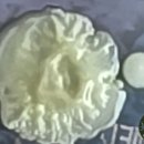 새소리농장 이미지