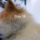 지누동물병원 이미지