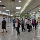 (대구) 청룡지맥구간의 금봉산과 두리봉(26.6.21.일.경맥46산악회) 이미지