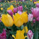 토평공원 이미지