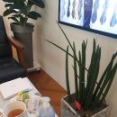 프시케디자인 이미지